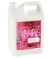 DS DETERGENT SURODORANT PARIS 5L